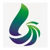 廣西真龍實業有限責任公司